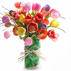 A bouquet of multicolored tulips