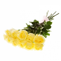 Eleven yellow roses tied with a bow