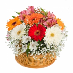 A basket of multicolored gerbera daisies with parrot flowers and green fillers
