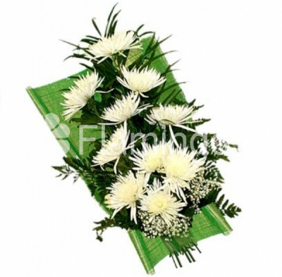 White chrysanthemums arranged with green fillers and nicely wrapped