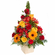 Roses, gerberas and parrot flowers arranged in a basket